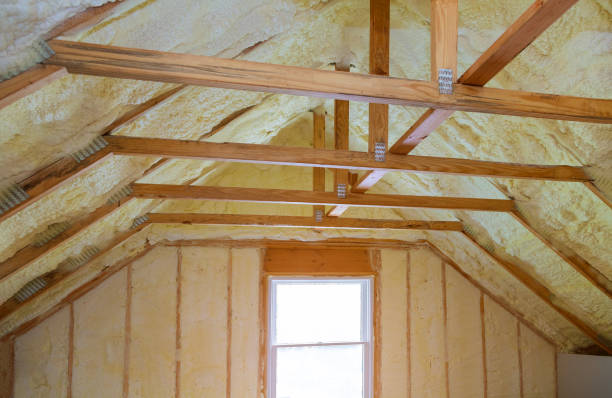 Best Insulation Installation Services in First Mesa, AZ